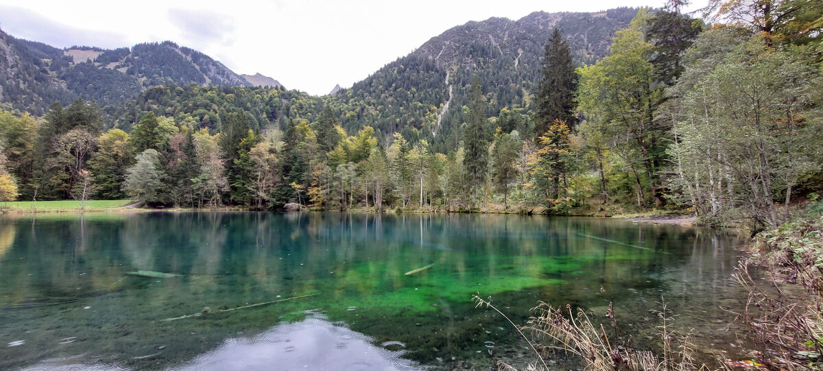 -- - vladimir -- - vladimir