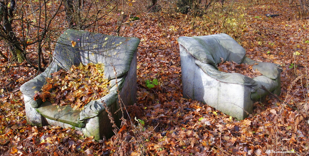 Если долго бродить по оераинам леса, то рано или поздно обязательно наткнёшься на кресло..:-) - Андрей Заломленков Если долго бродить по оераинам леса, то рано или поздно обязательно наткнёшься на кресло..:-) - Андрей Заломленков