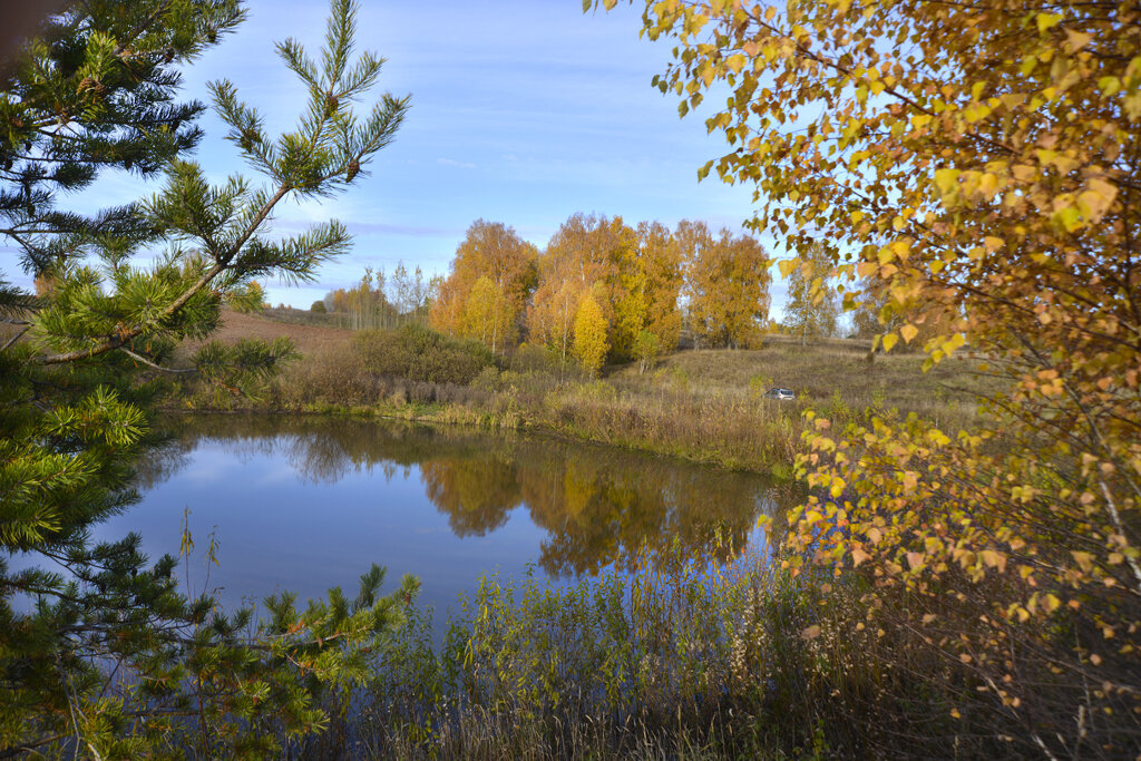 Берёзки на глазу... - Владимир Хиль