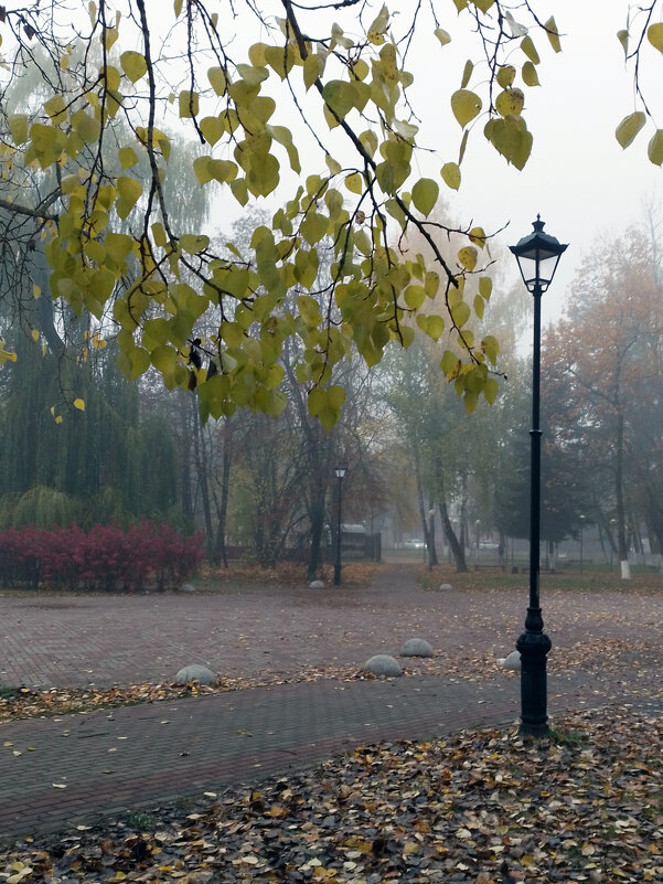 *** - Валентина Береснева