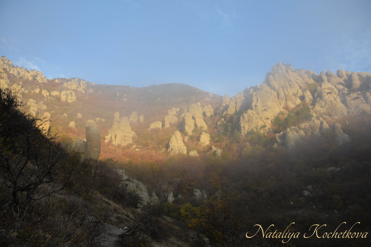 Природа Крыма - Amazing Cosmea