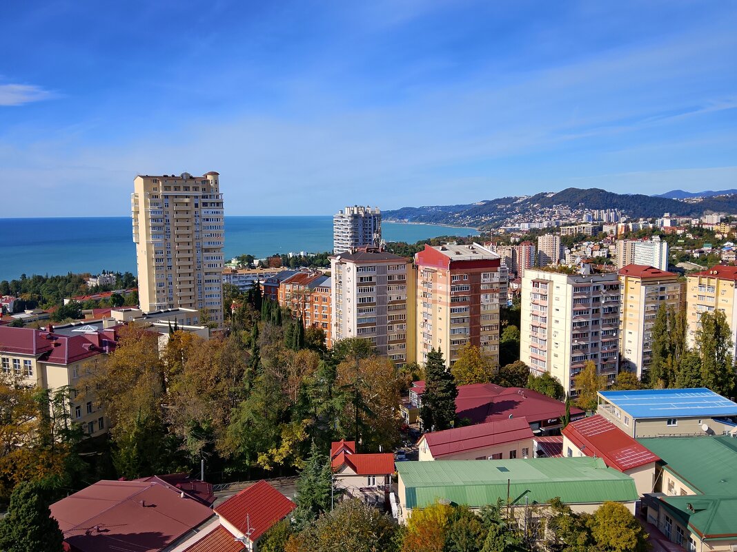 Панорама Сочи с Виноградной горки - Tata Wolf Панорама Сочи с Виноградной горки - Tata Wolf