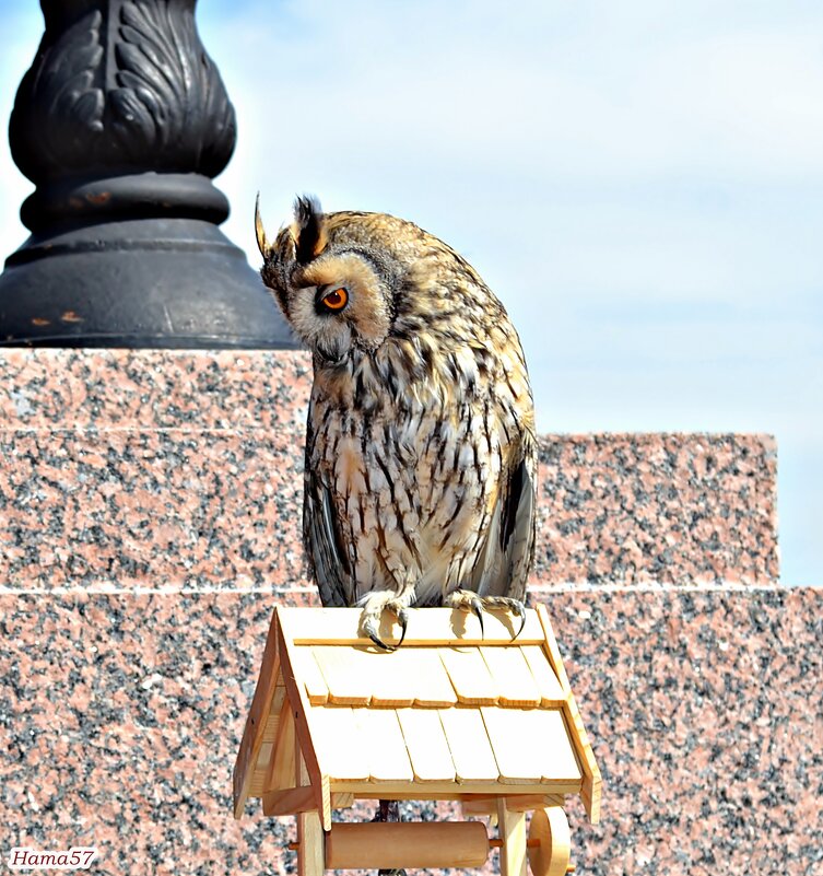 Вы меня смутили :-) - Ната57 Наталья Мамедова