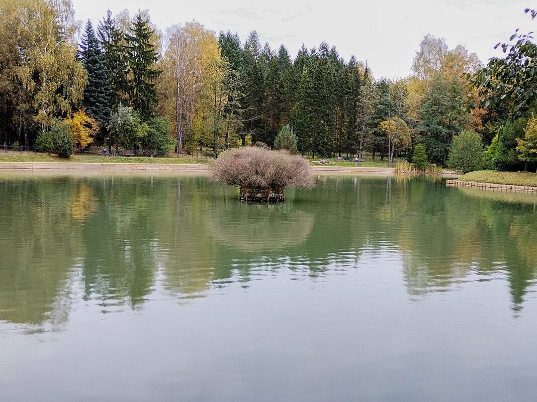 Пруд - Валерий Пославский