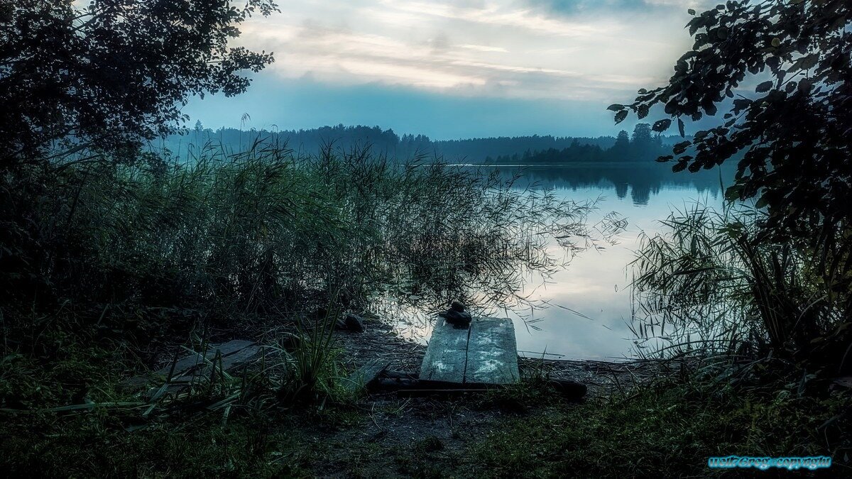 ...туманное утро 2.! - Павел Курков