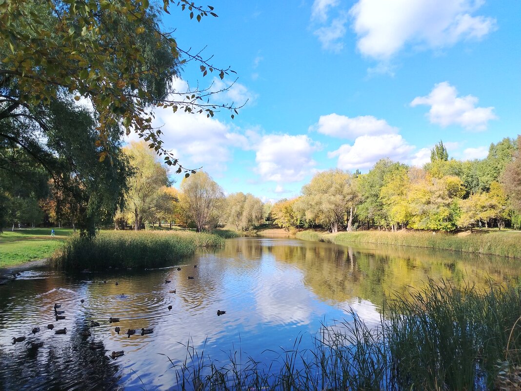 Самара. Воронежские озера - Надежда 