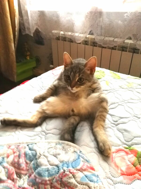 малыш в ударе - Анютка А