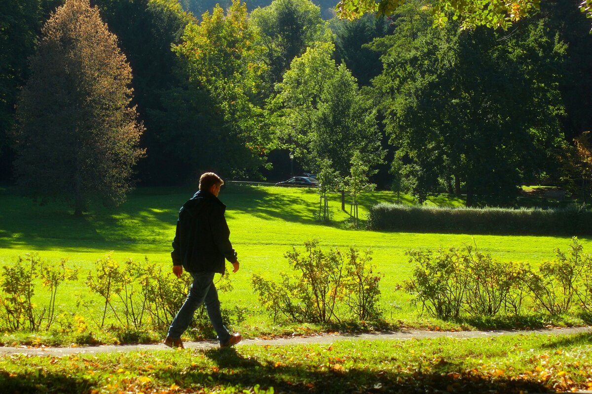 В осень - Юрий. Шмаков