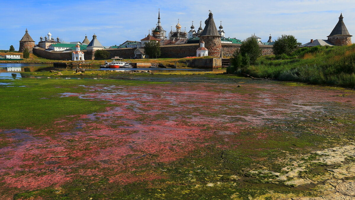 Соловки во время отлива Белого моря. - Николай Кондаков