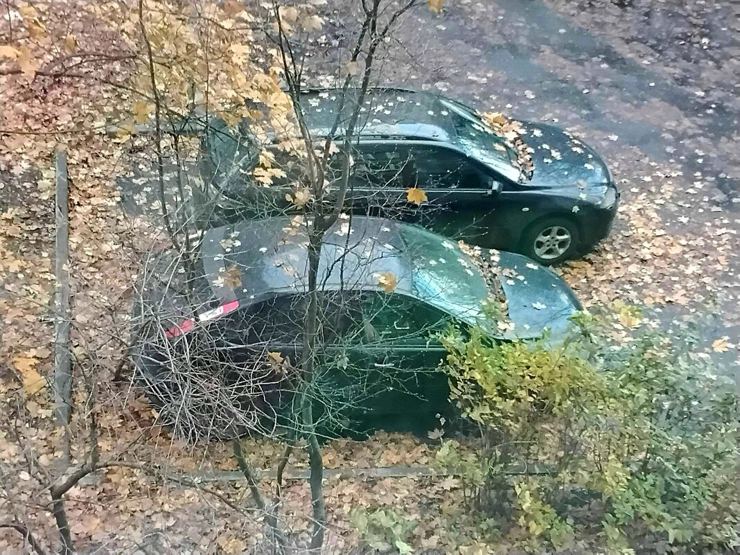 В листьях осенних - Дмитрий Никитин