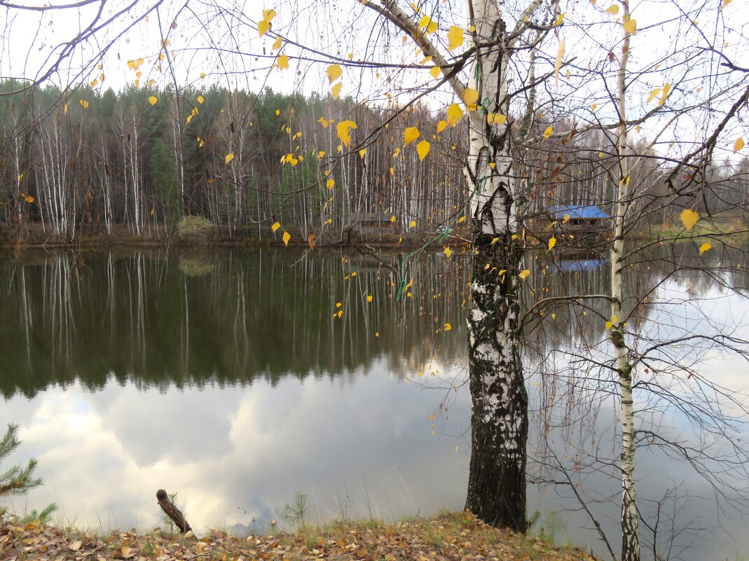 поздняя осень - НАТАЛЬЯ поздняя осень - НАТАЛЬЯ