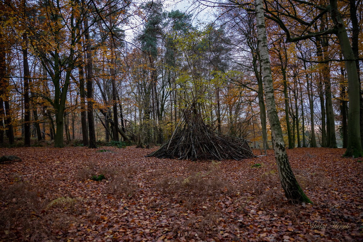 Однажды в лесу... - Николай Гирш Однажды в лесу... - Николай Гирш