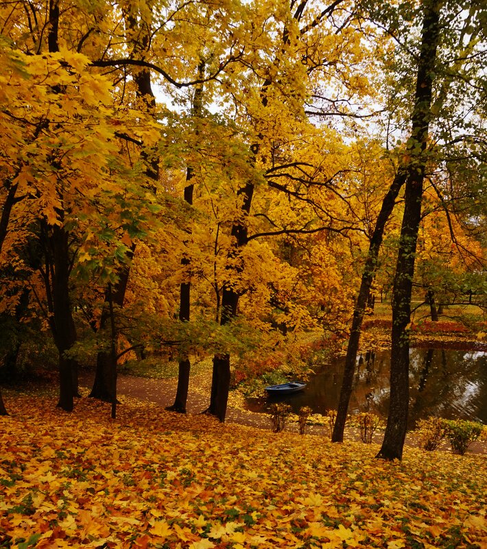 Осенний Петергоф - Nataly St. Осенний Петергоф - Nataly St.
