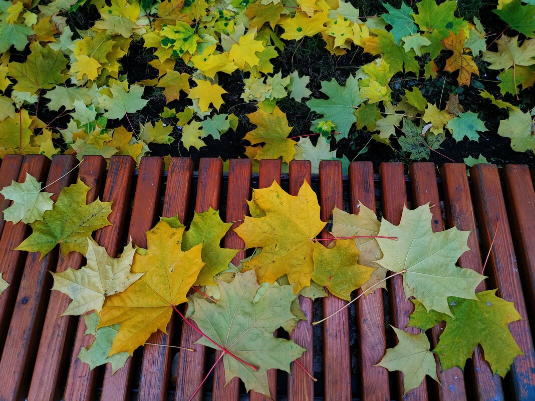 По дороге на работу - Андрей Лукьянов