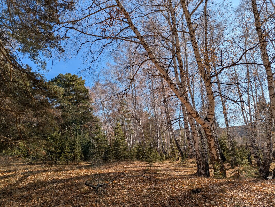 Золотой октябрь - Андрей Хлопонин