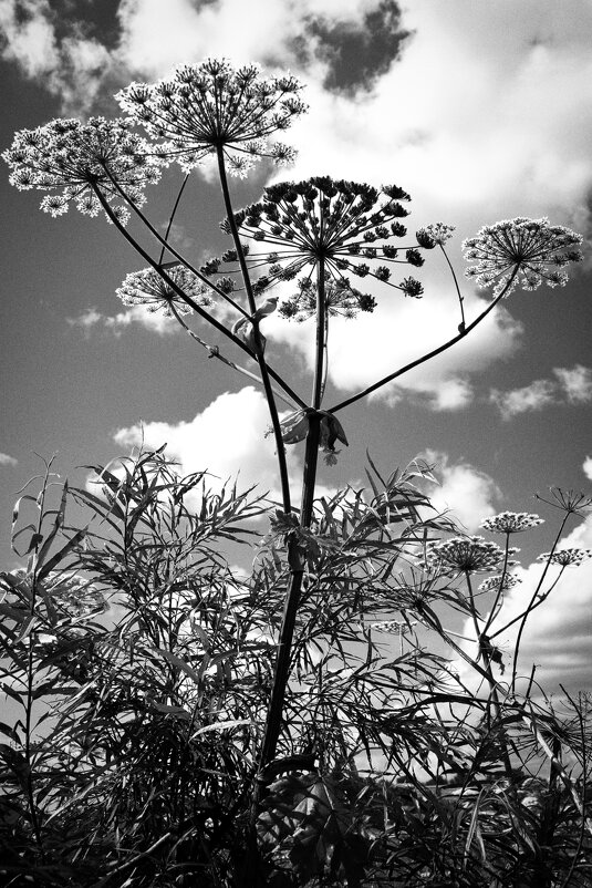 Фотография - Денис Безногов