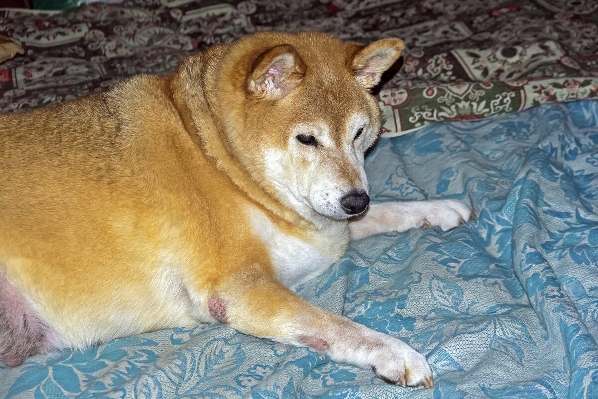 В ожидании - Валерий Иванович В ожидании - Валерий Иванович