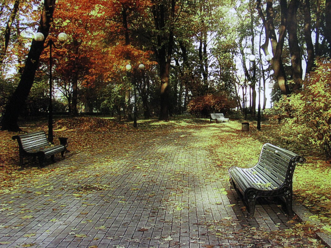В сквере - Людмила Смородинская В сквере - Людмила Смородинская