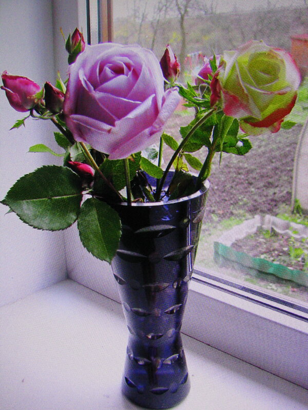 Нежность - Людмила Смородинская