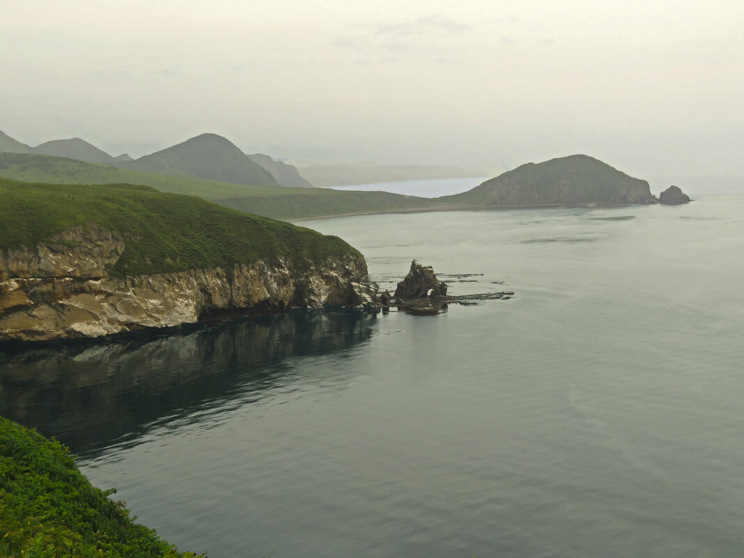 туманы - ИРЭН@ .