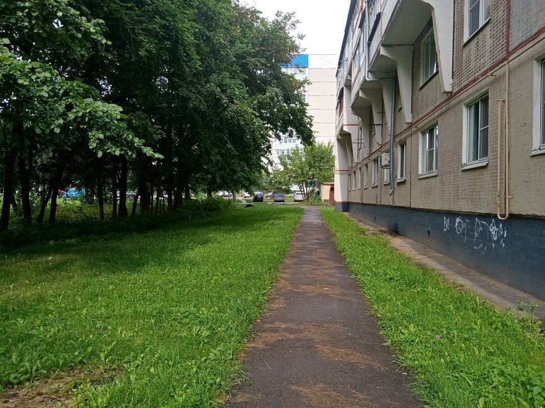 Лето в Мценске. - Владимир Драгунский