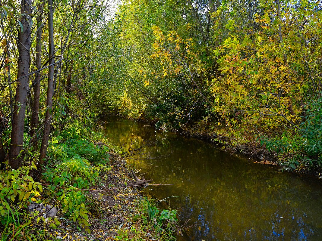 Чебоксары. Речка Чебоксарка в одноименном парке осенью. - Пётр Чернега Чебоксары. Речка Чебоксарка в одноименном парке осенью. - Пётр Чернега
