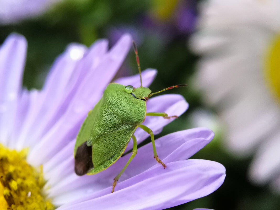 *   *   * - Уже не важно 