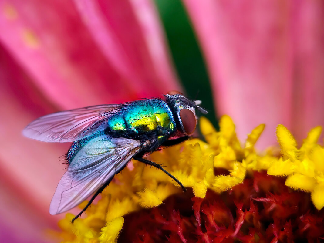 *   *   * - Уже не важно 