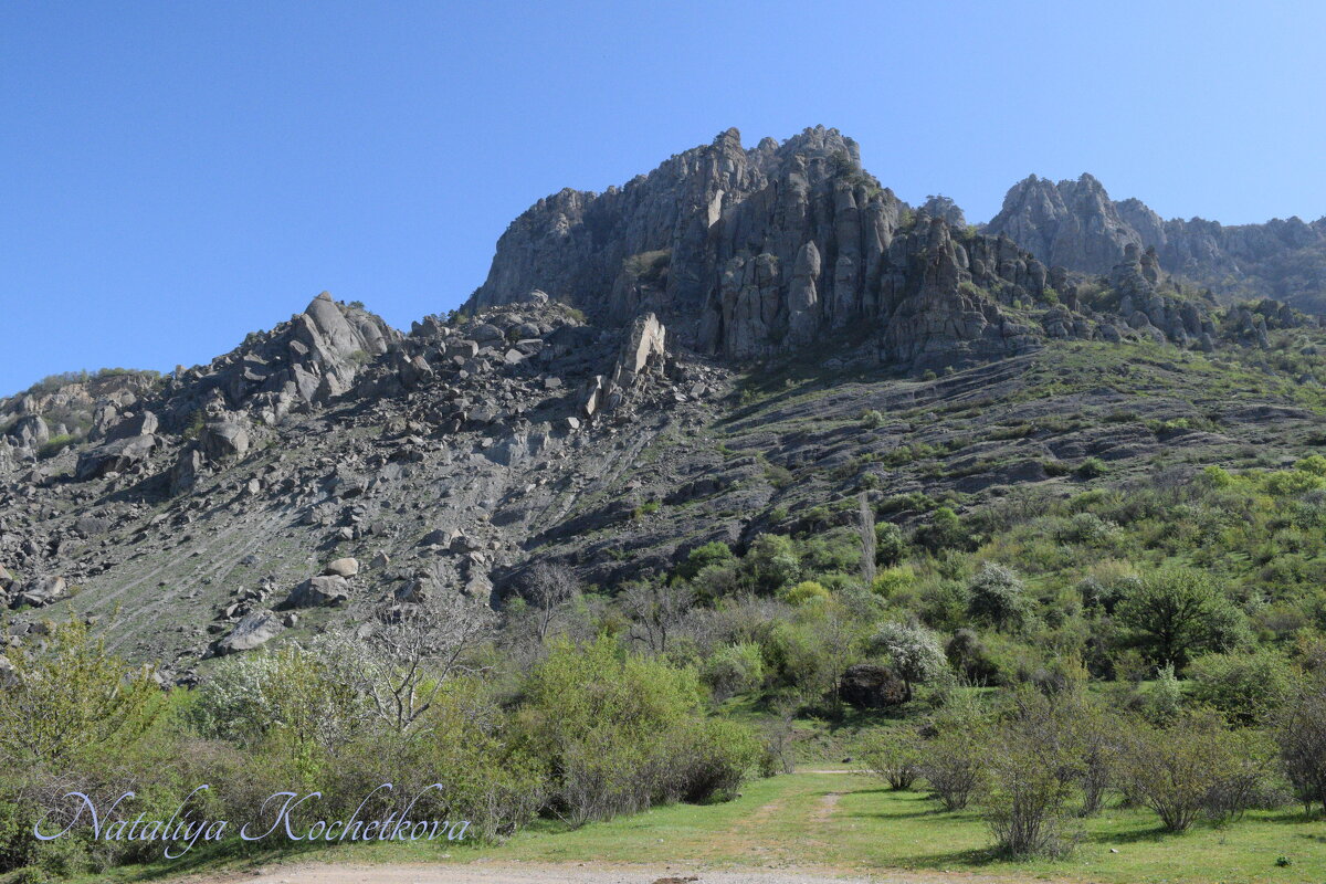 Природа Крыма - Amazing Cosmea