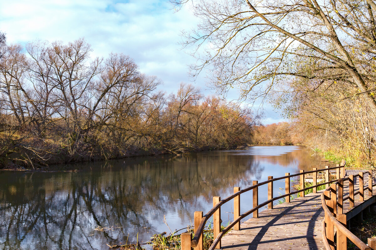 Осень в Подмосковье - But684 