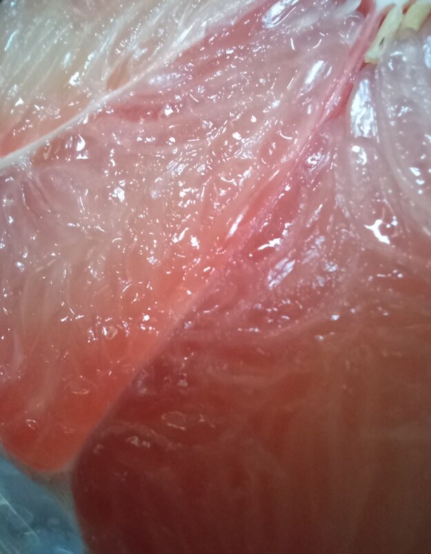 Макро фрукт. - Наталья Вязигина