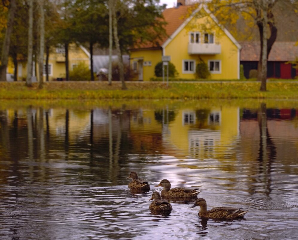 У дамбы - liudmila drake