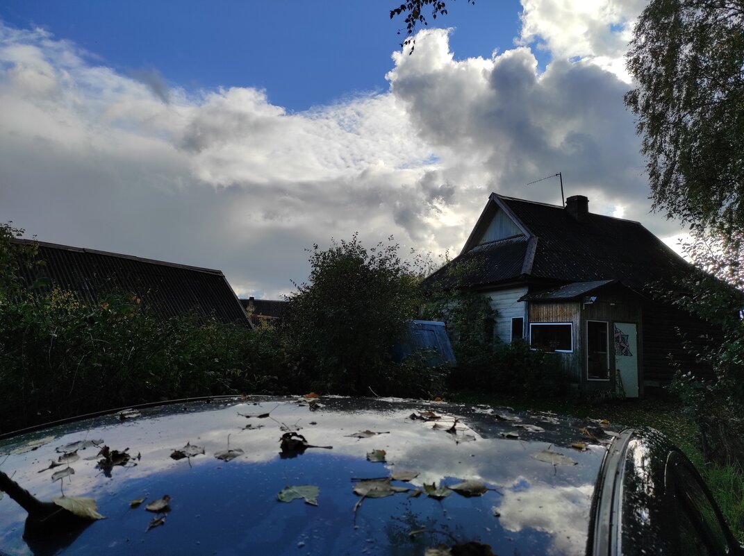 После дождя - Игорь Ч.