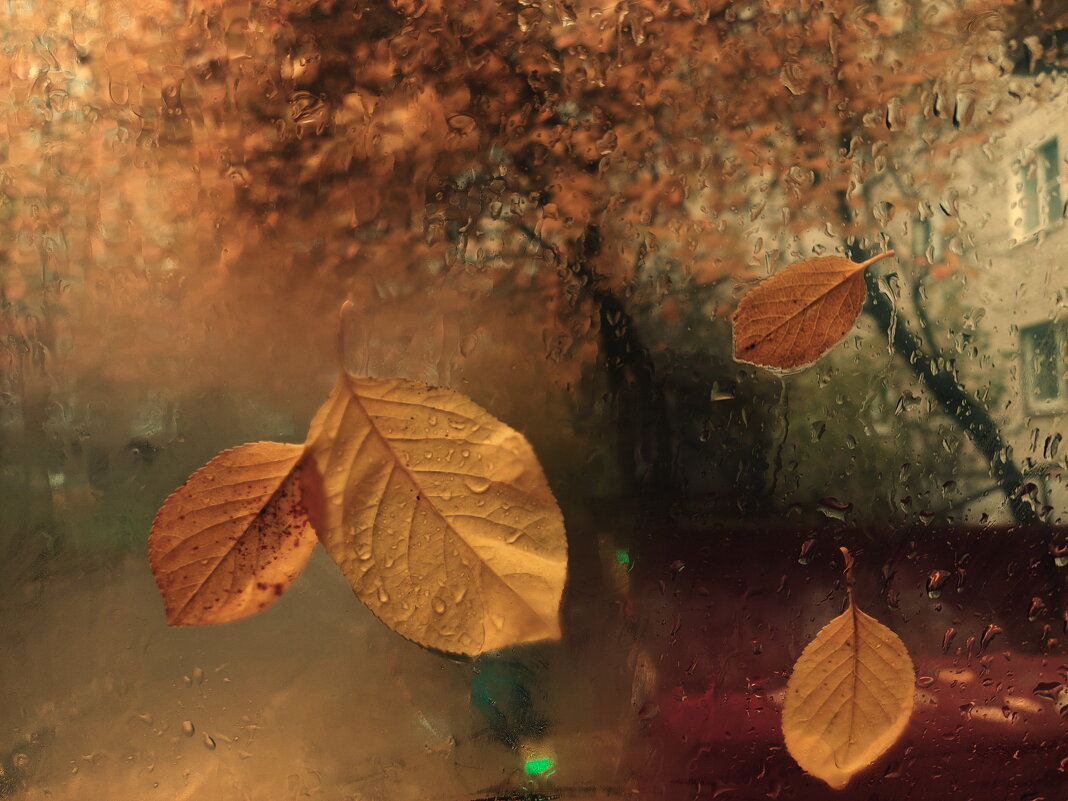 запотело стеклышко - Артём 