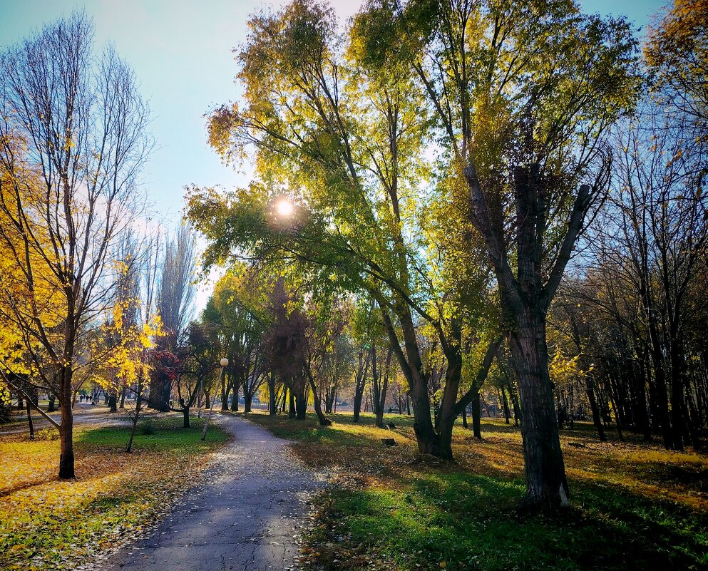 Осенний день - Надежда 