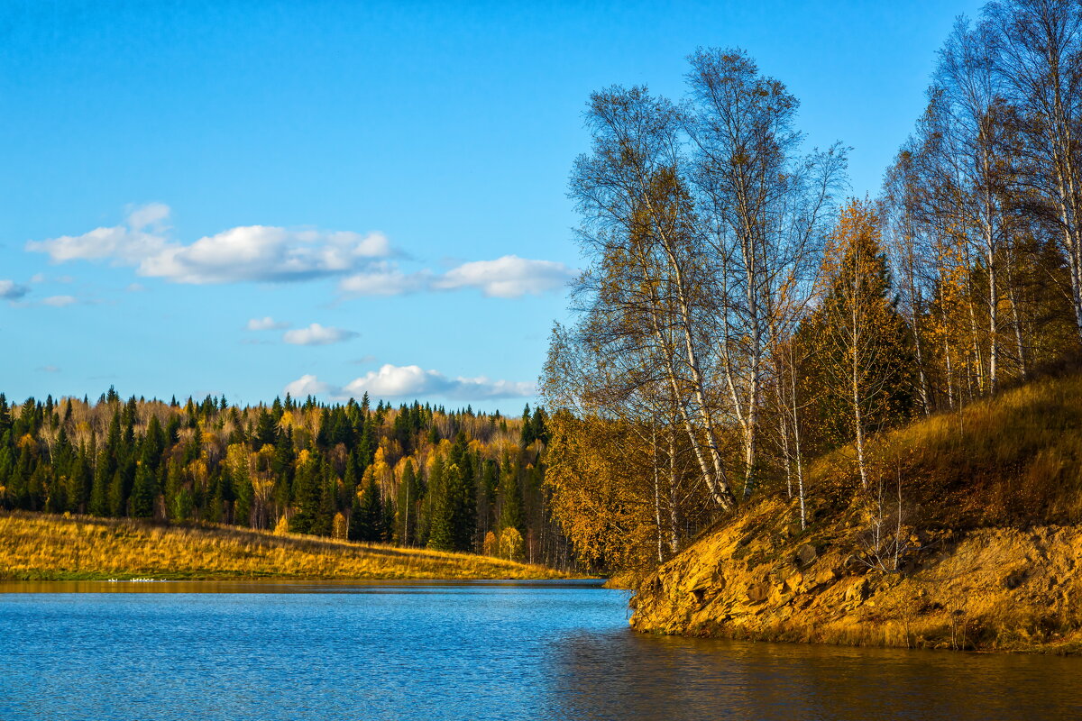 Березка над водой - Сергей Винтовкин