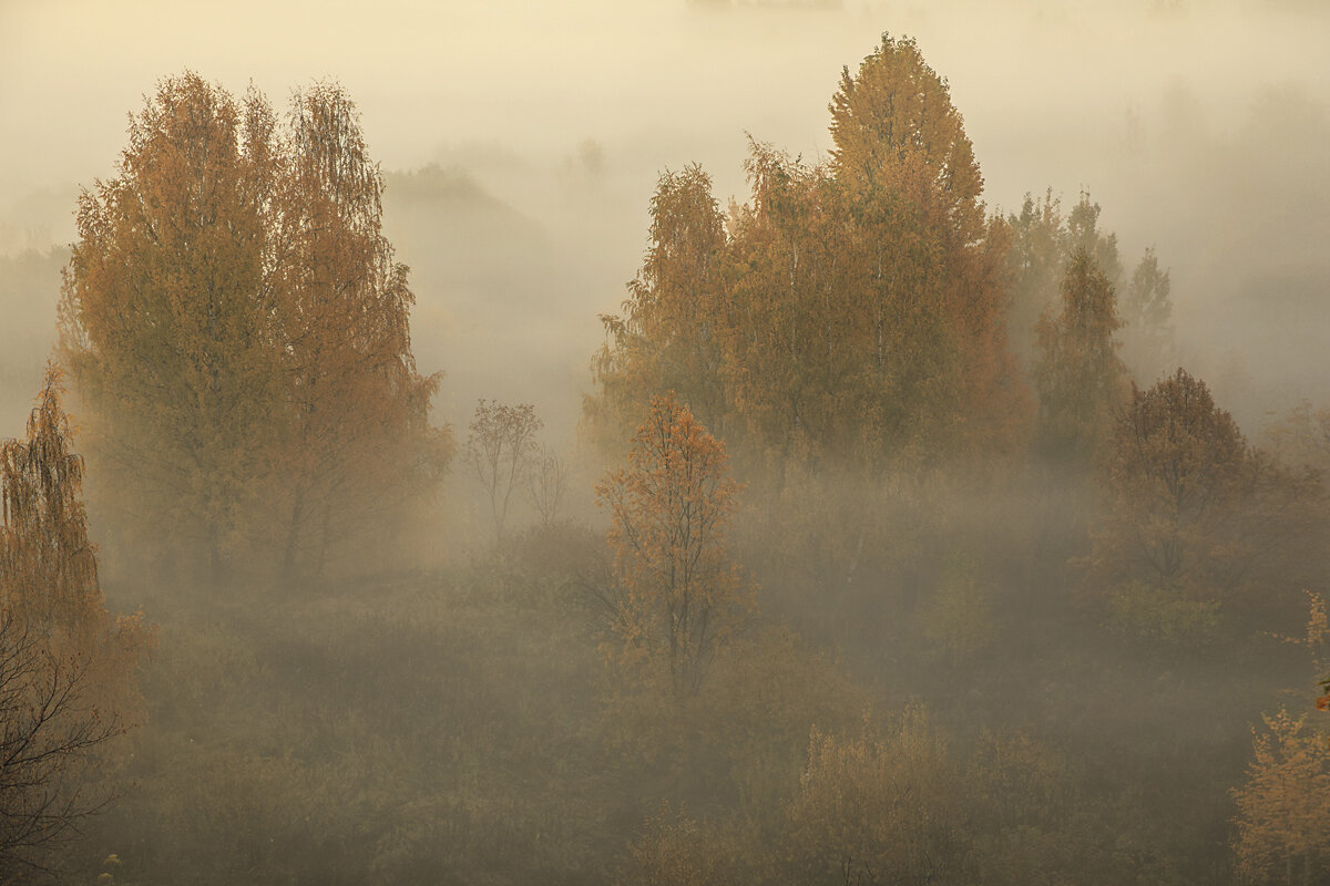 Октябрь - Елена 