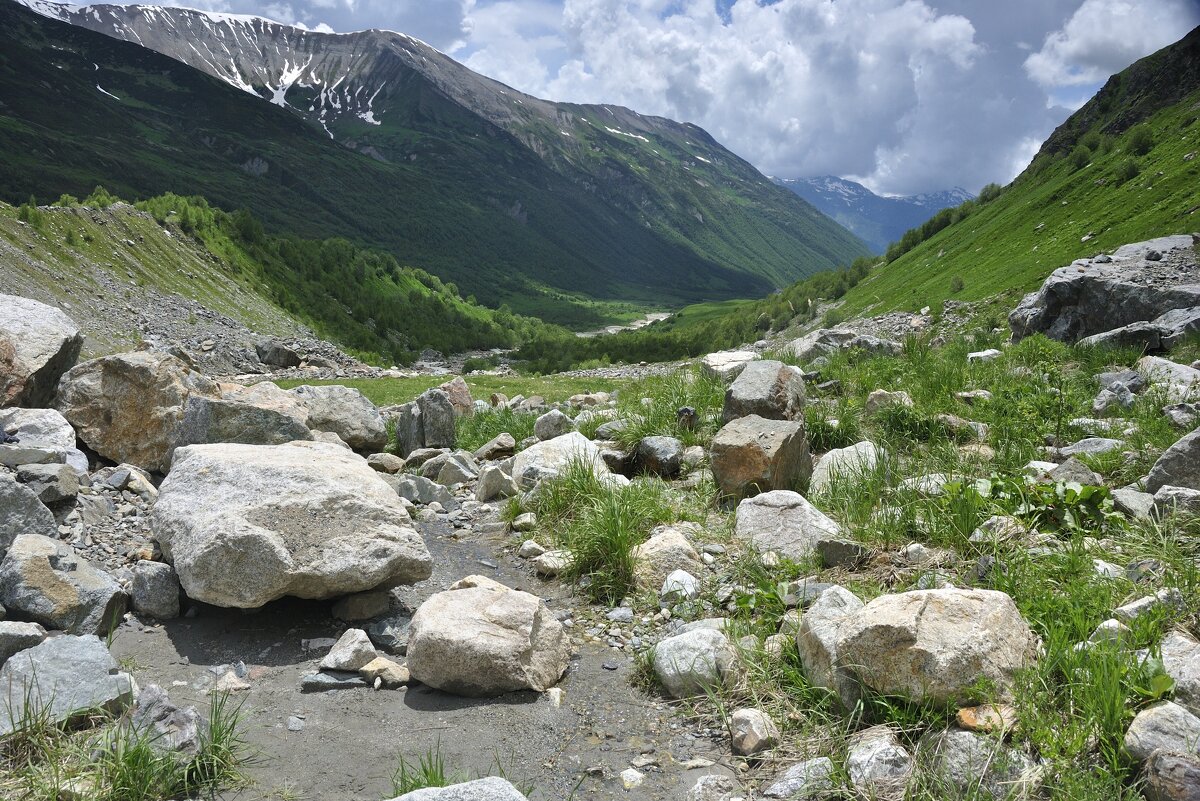 Тернистый путь - Марина Виноградова