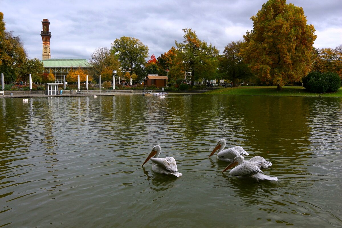 Пасмурный октябрь - Юрий. Шмаков Пасмурный октябрь - Юрий. Шмаков