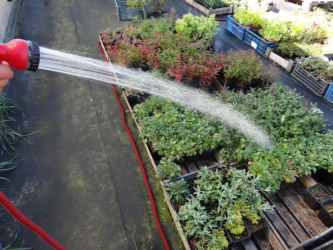 НА ДАЧЕ - СЕРГЕЙ ФИЛОЧКИН