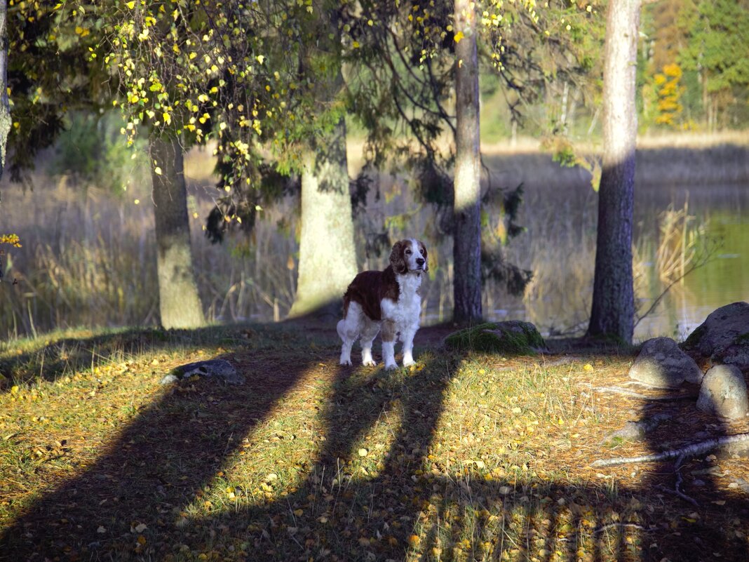 Только ты да я... - liudmila drake