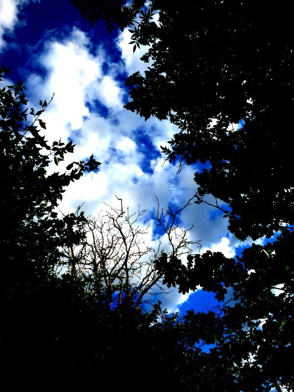 Осень 32 - Алексей Кузнецов