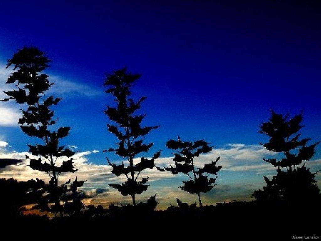 Осень 35 - Алексей Кузнецов