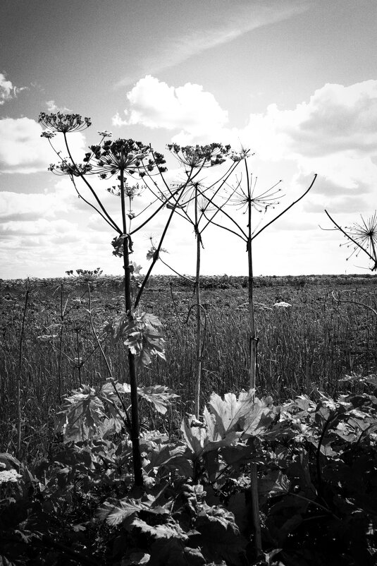 Фотография - Денис Безногов