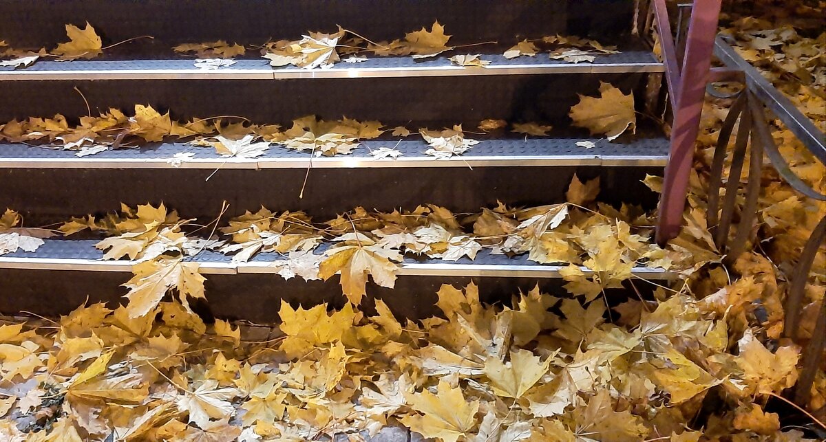 Осенние картинки - Наталья Герасимова