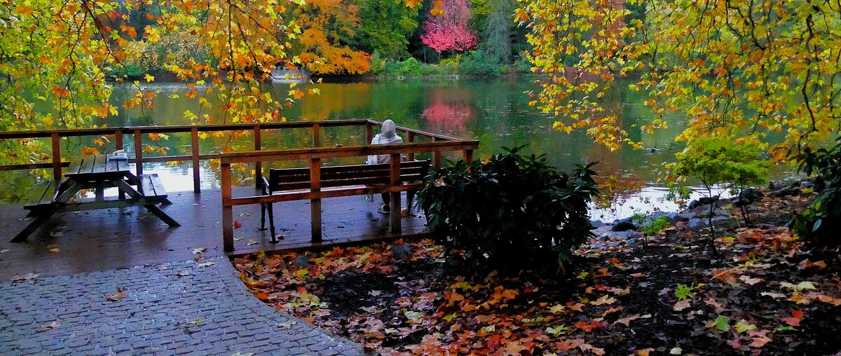 Осень в кадре(серия) - Владимир Манкер Осень в кадре(серия) - Владимир Манкер