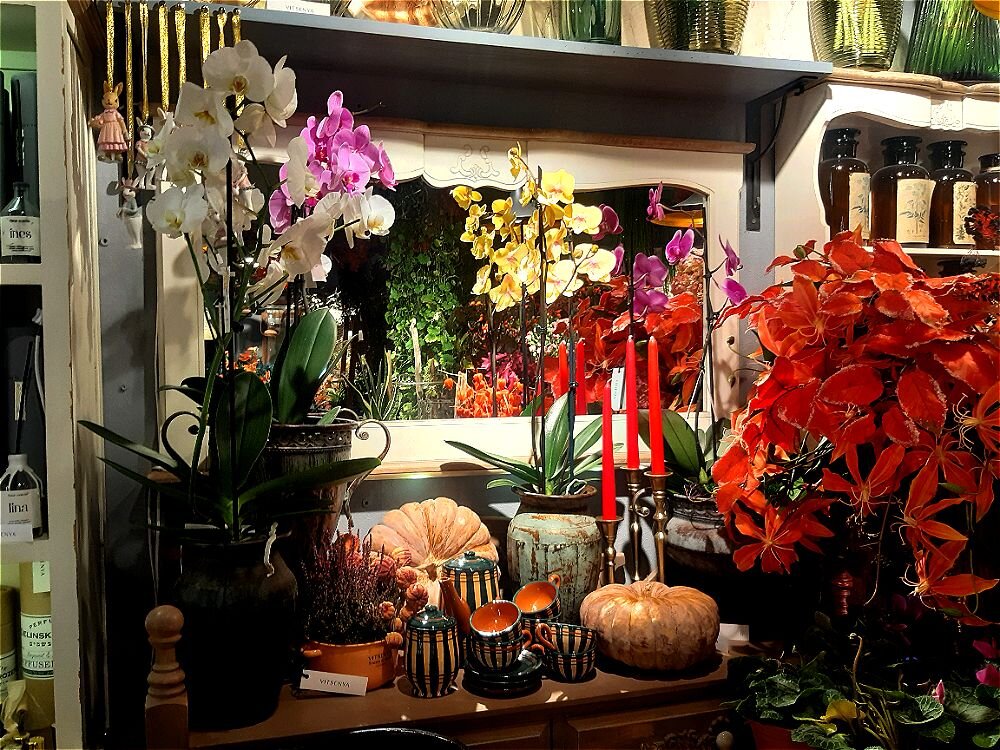 Красота в цветочном магазине! - Нина Андронова