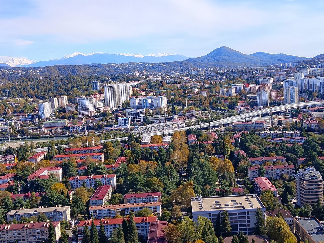 ПАНОРАМА СОЧИ - Tata Wolf