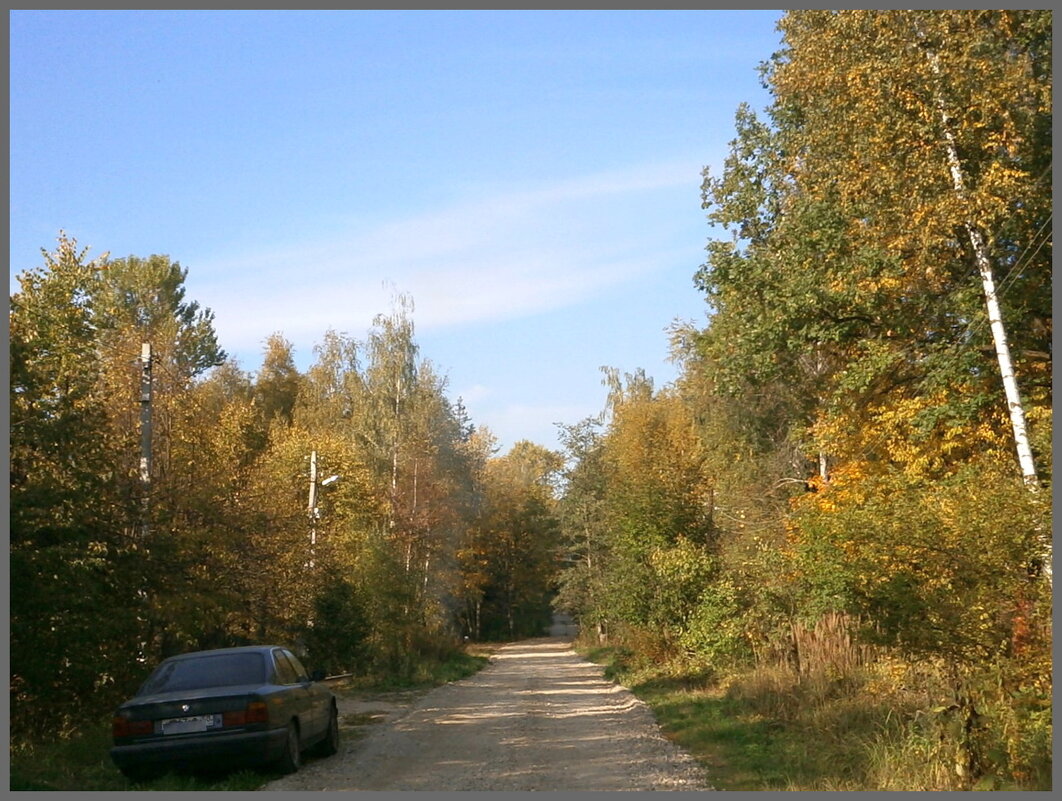 Осень - Ольга Довженко