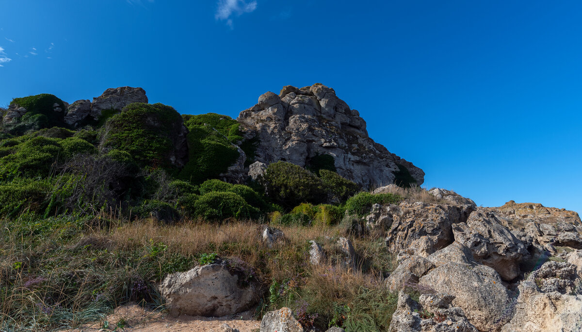 *** - Виталий Емельянов *** - Виталий Емельянов